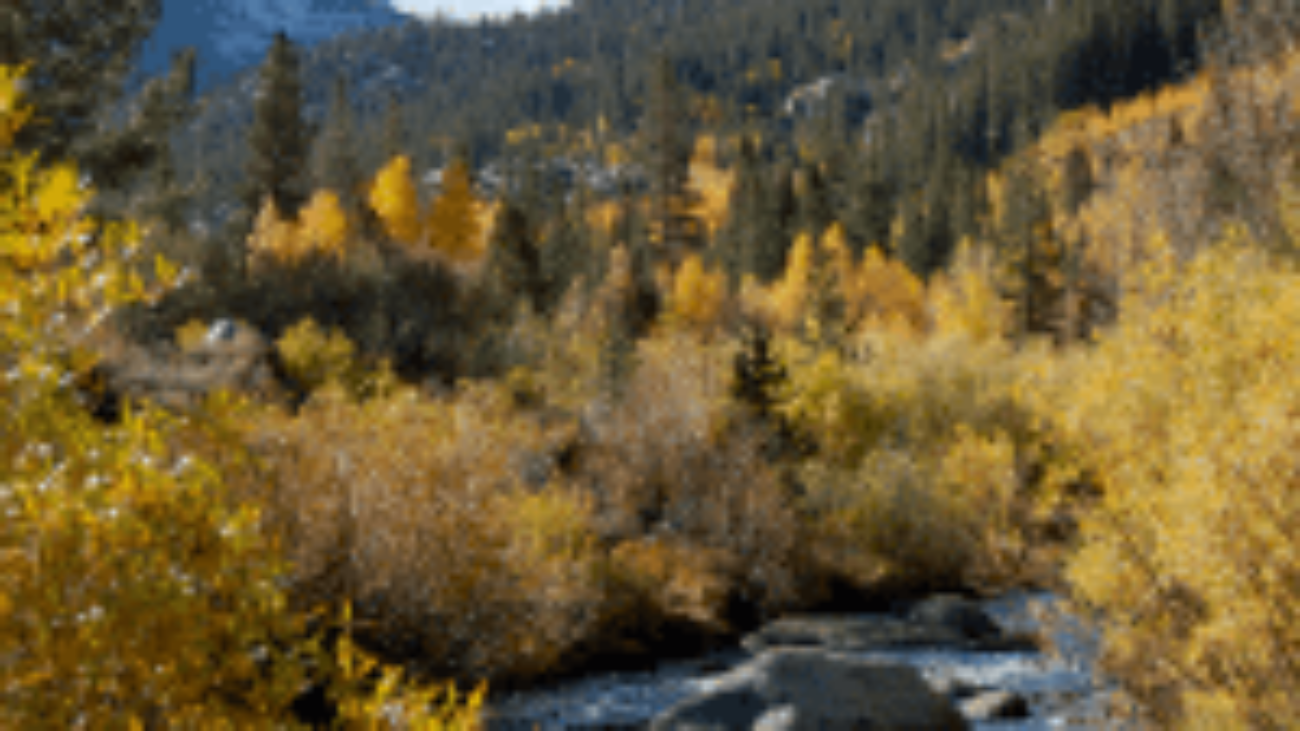 MountainStream_300x300