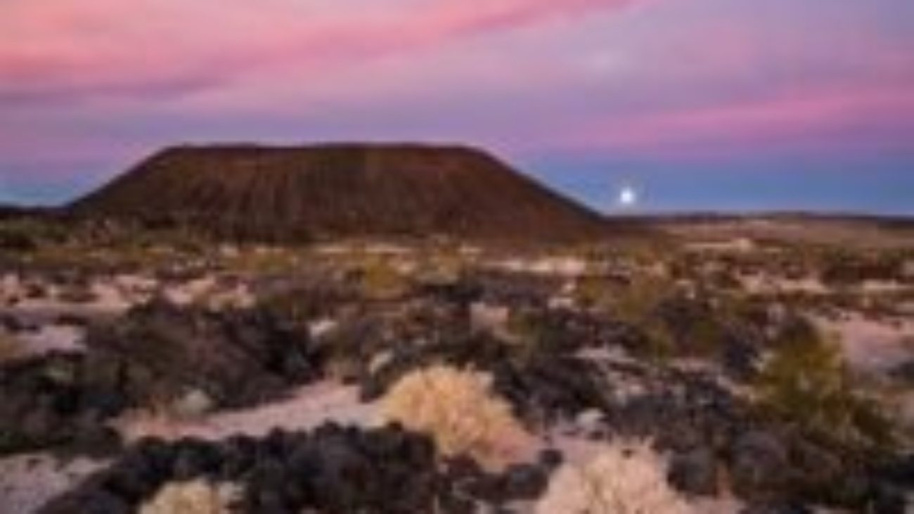 desert_mojave