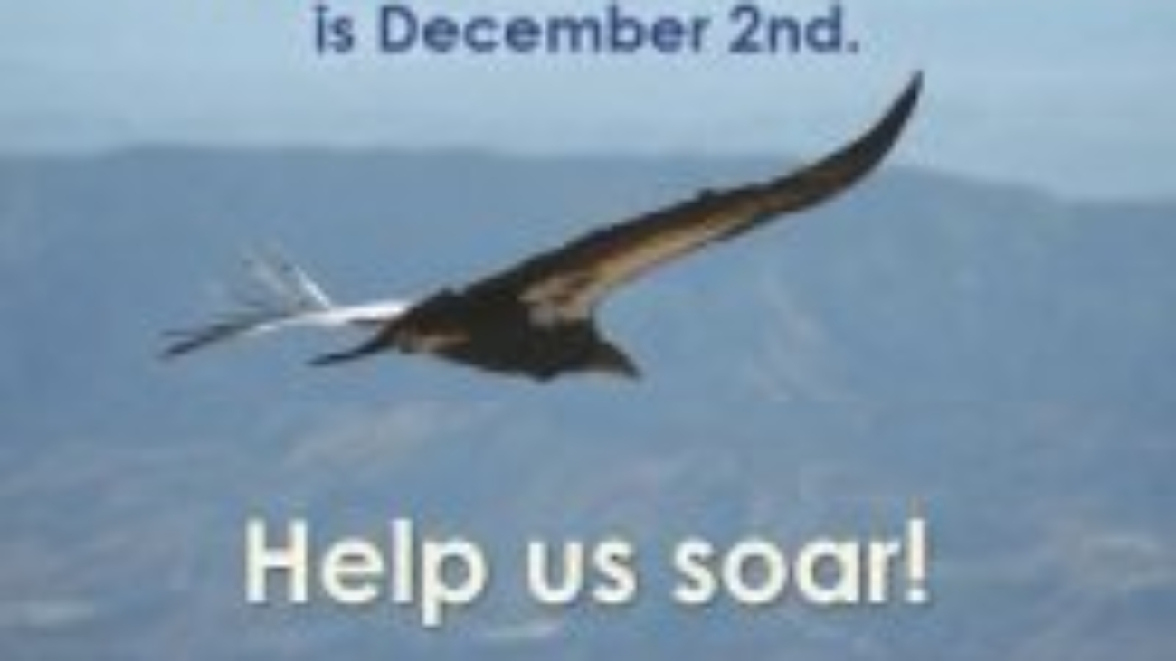giving-tuesday-condor834x834_0